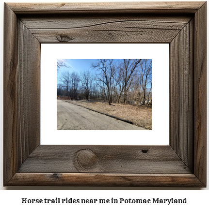 horse trail rides near me in Potomac, Maryland